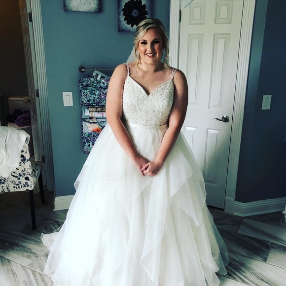 tabbys2911